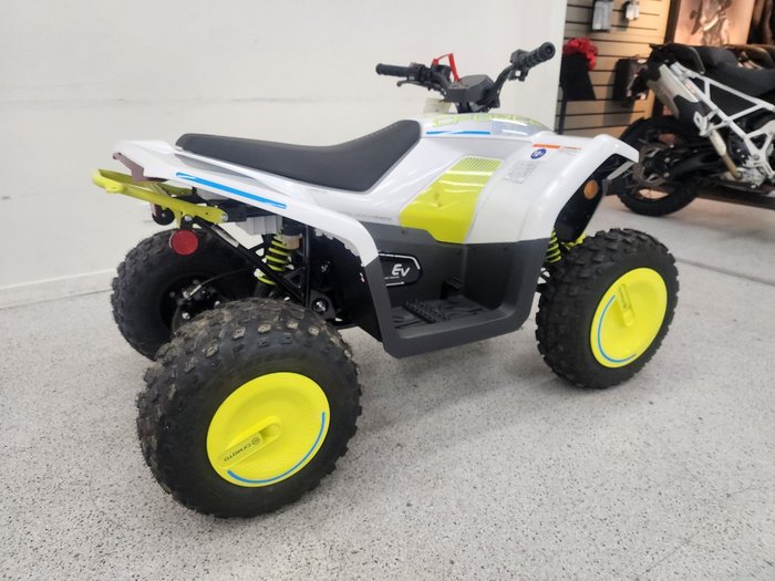 2022 CFMOTO C FORCE EV110 Green