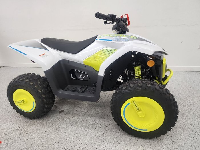 2022 CFMOTO C FORCE EV110 Green