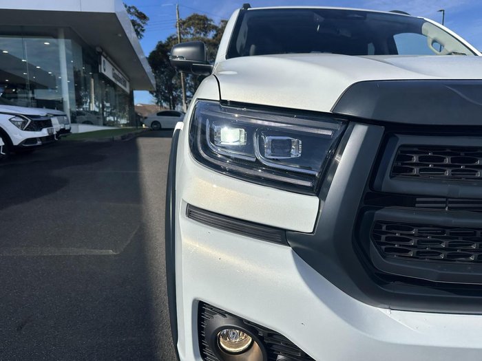 2025 GWM Cannon Vanta