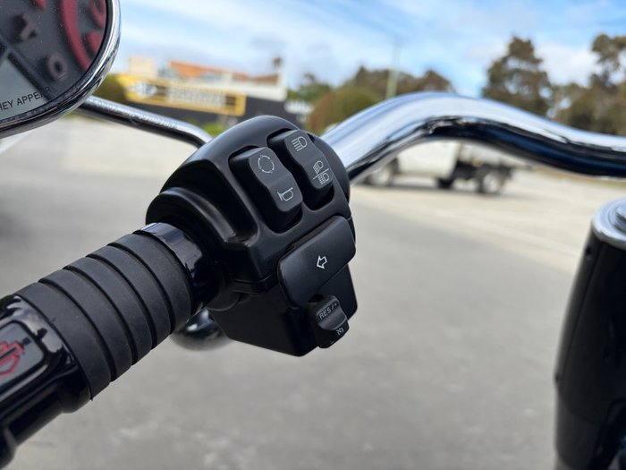 2018 HARLEY-DAVIDSON FLFBS_ANV FAT BOY ANNV