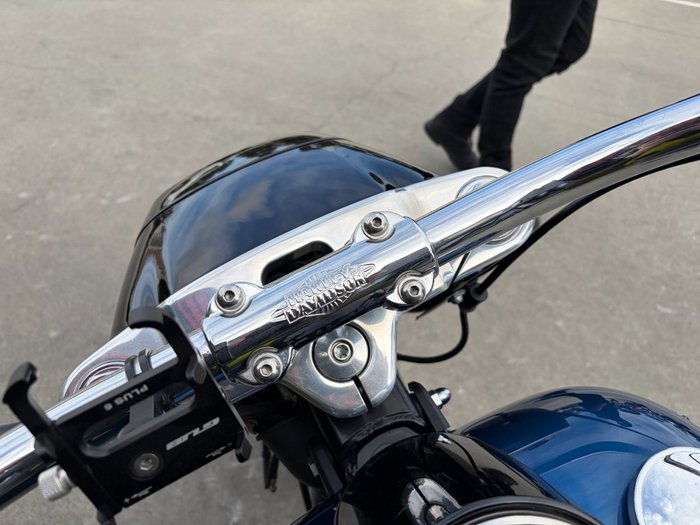 2018 HARLEY-DAVIDSON FLFBS_ANV FAT BOY ANNV