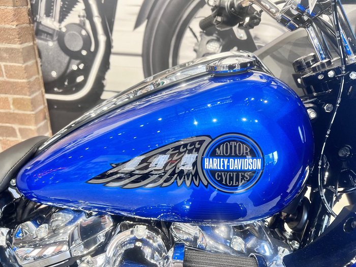 2025 Harley-Davidson Low Rider ST 117 (FXLRST) Softail Blue