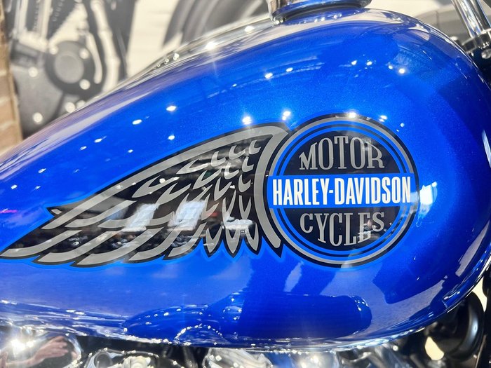 2025 Harley-Davidson Low Rider ST 117 (FXLRST) Softail Blue