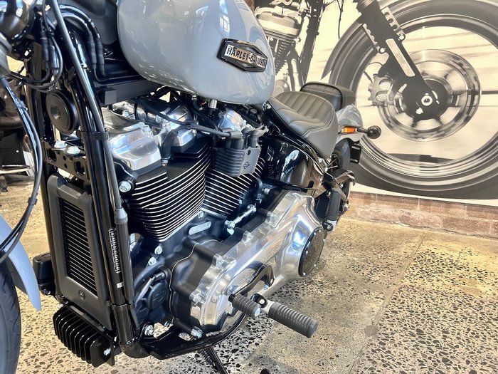 2025 Harley-Davidson Street Bob 117 (FXBB) Softail