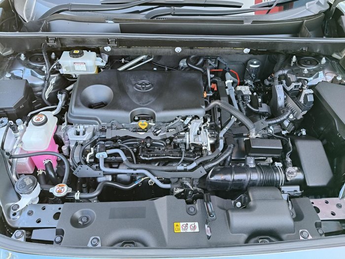 2021 Toyota RAV4 Cruiser MXAA52R Graphite