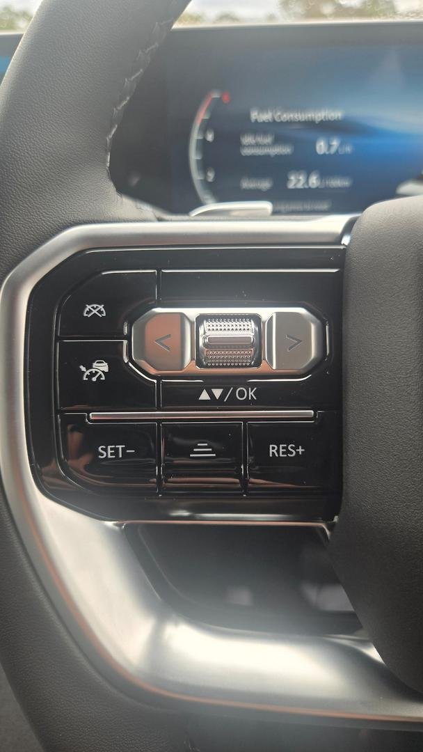 2025 LDV Terron 9 Evolve