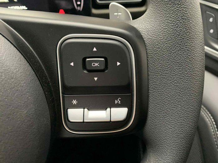 2025 GWM Cannon Premium NPW 4x2 Pearl White