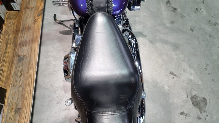 2002 Harley-davidson FLSTF FAT BOY Concord Purple