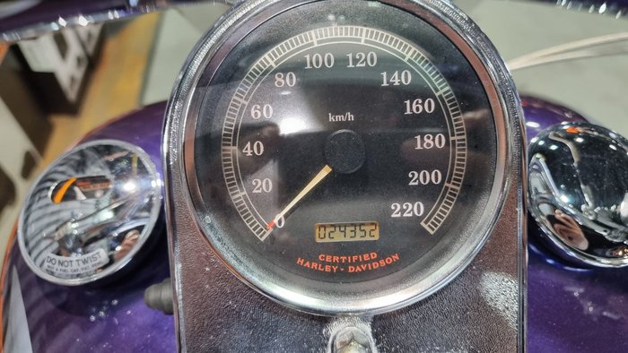 2002 Harley-davidson FLSTF FAT BOY Concord Purple