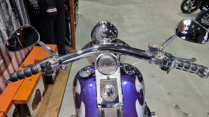 2002 Harley-davidson FLSTF FAT BOY Concord Purple