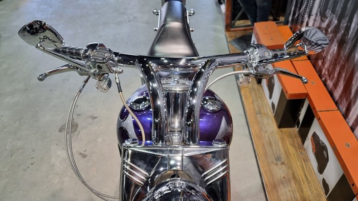 2002 Harley-davidson FLSTF FAT BOY Concord Purple