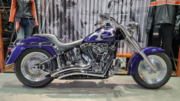 2002 Harley-davidson FLSTF FAT BOY Concord Purple