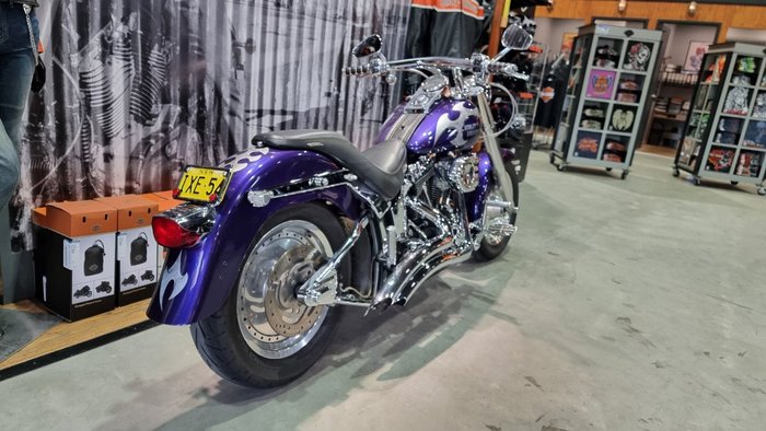 2002 Harley-davidson FLSTF FAT BOY Concord Purple