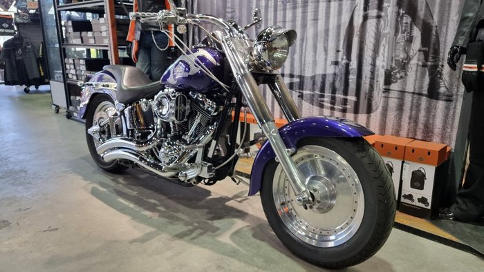 2002 Harley-davidson FLSTF FAT BOY Concord Purple