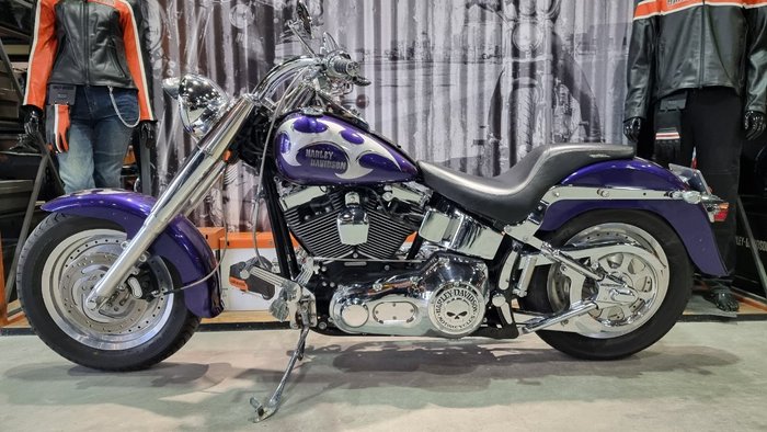 2002 Harley-davidson FLSTF FAT BOY Concord Purple