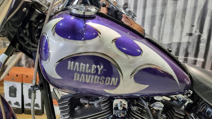 2002 Harley-davidson FLSTF FAT BOY Concord Purple