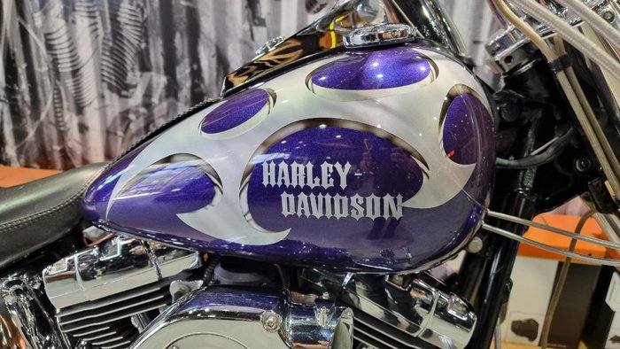 2002 Harley-davidson FLSTF FAT BOY Concord Purple