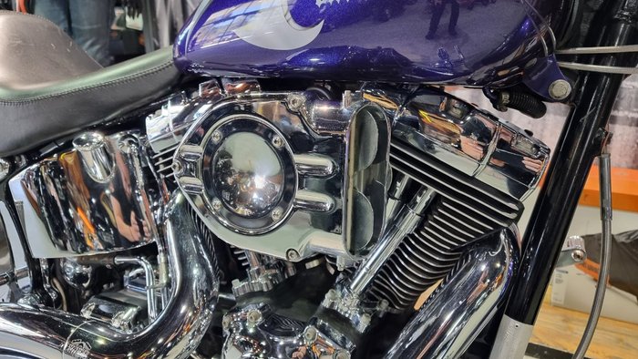 2002 Harley-davidson FLSTF FAT BOY Concord Purple