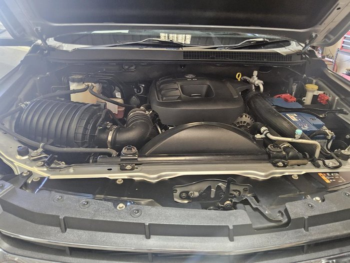 2019 Holden Trailblazer LTZ RG MY19 4X4 Dual Range Nitrate