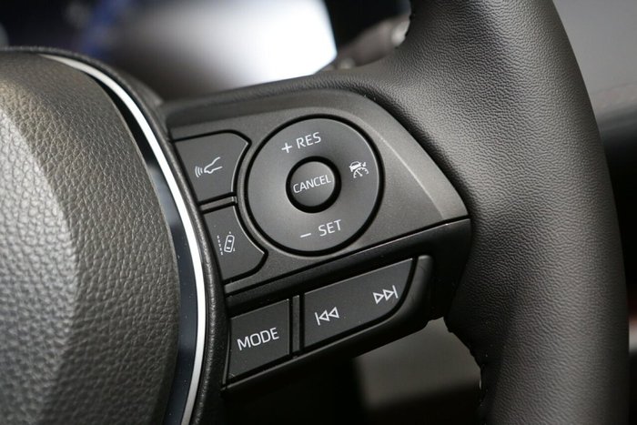 2025 Toyota RAV4 Cruiser