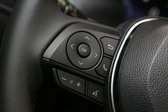 2025 Toyota RAV4 Cruiser