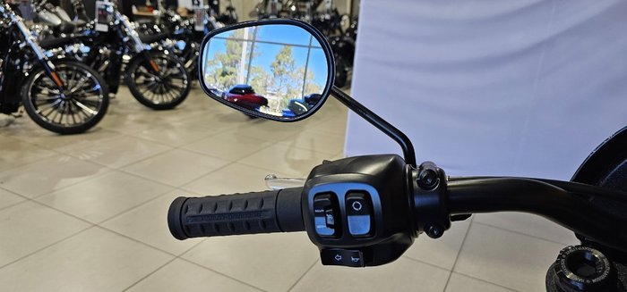 2025 Harley-davidson FXLRS LOW RIDER S (117) IRON HORSE