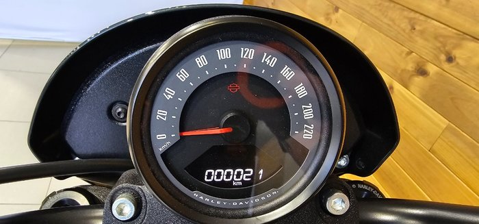 2025 Harley-davidson FXLRS LOW RIDER S (117) IRON HORSE