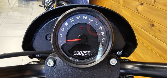 2025 Harley-davidson FXLRS LOW RIDER S (117) IRON HORSE