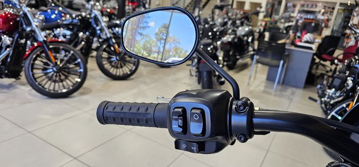 2025 Harley-davidson FXLRS LOW RIDER S (117) IRON HORSE