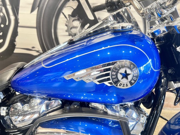 2025 Harley-Davidson Fat Boy 117 (FLFB) Softail Blue