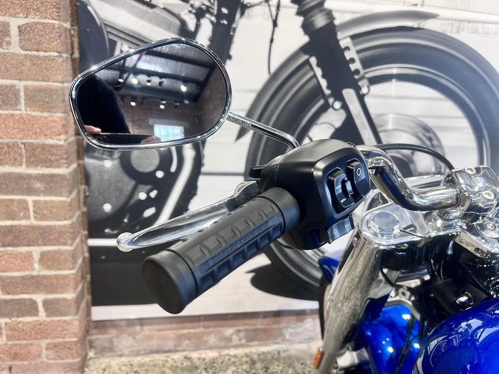 2025 Harley-Davidson Fat Boy 117 (FLFB) Softail Blue