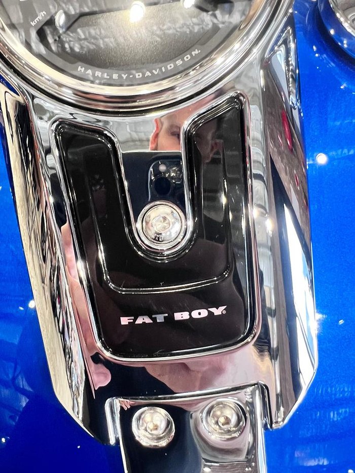 2025 Harley-Davidson Fat Boy 117 (FLFB) Softail Blue