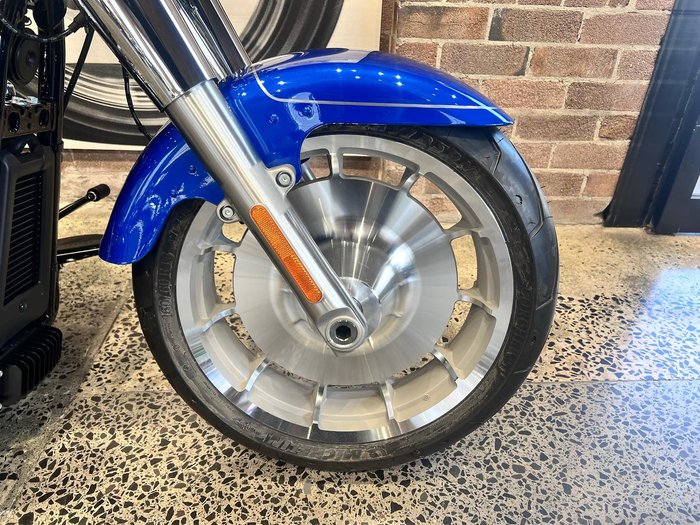 2025 Harley-Davidson Fat Boy 117 (FLFB) Softail Blue