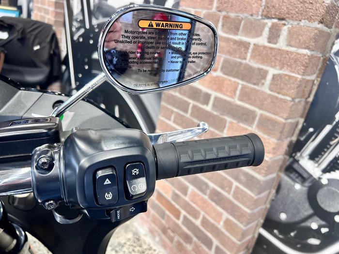 2025 Harley-Davidson Low Rider ST 117 (FXLRST) Softail Black