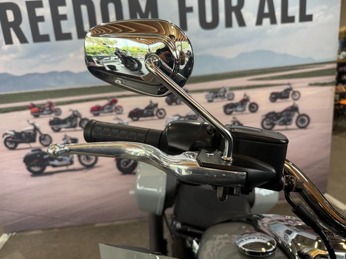 2025 Harley-davidson FXLRST LOW RIDER ST (117) BILLIARD GREY