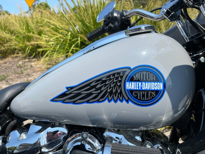 2025 Harley-davidson FXLRST LOW RIDER ST (117) BILLIARD GREY