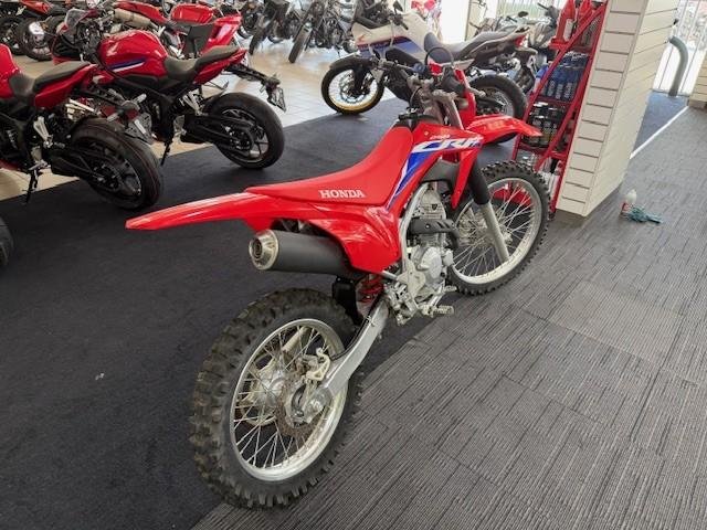 2023 Honda CRF250F CRF Red