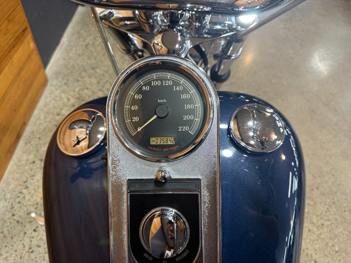 2008 Harley-davidson FXST SOFTAIL STANDARD Blue
