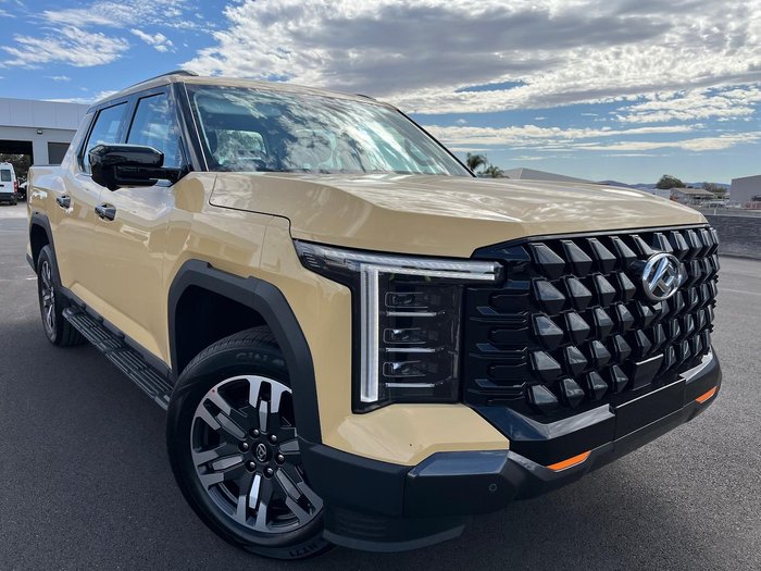 2025 LDV Terron 9