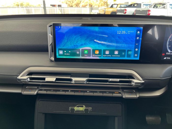 2025 LDV Terron 9 Origin