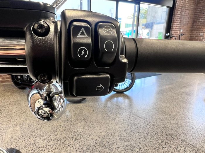 2022 Harley-Davidson Softail Standard 107 (FXST) Softail Black