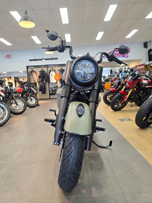 2025 Indian SPRINGFIELD MOSS GREEN SMOK