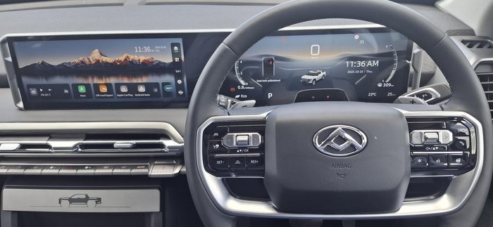 2025 LDV Terron 9 Evolve