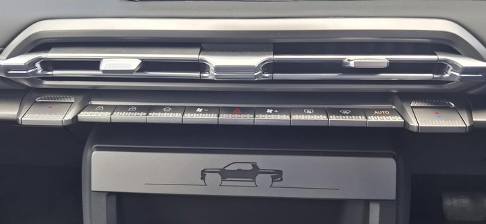 2025 LDV Terron 9 Evolve