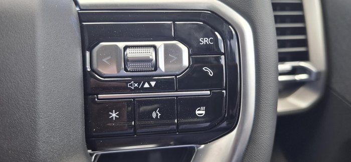 2025 LDV Terron 9 Evolve