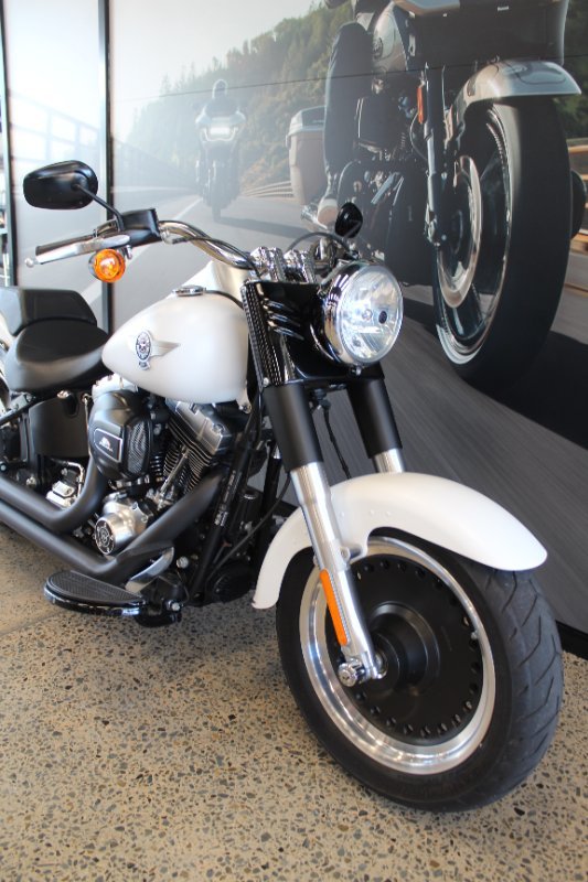 2017 Harley-davidson FLSTFB FAT BOY LO