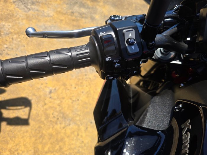2024 Kawasaki Z900 (ZR900) Red