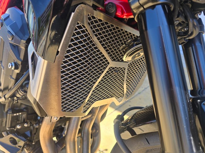 2024 Kawasaki Z900 (ZR900) Red