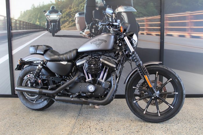 2017 Harley-davidson XL883 IRON 883 GREY