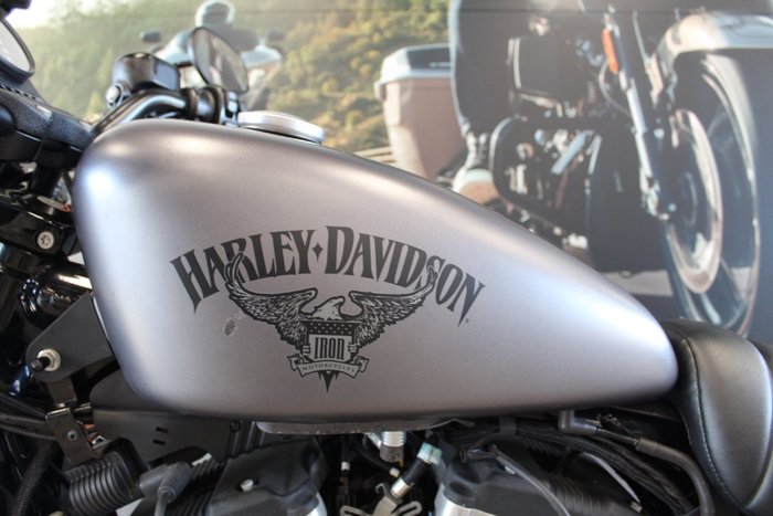 2017 Harley-davidson XL883 IRON 883 GREY